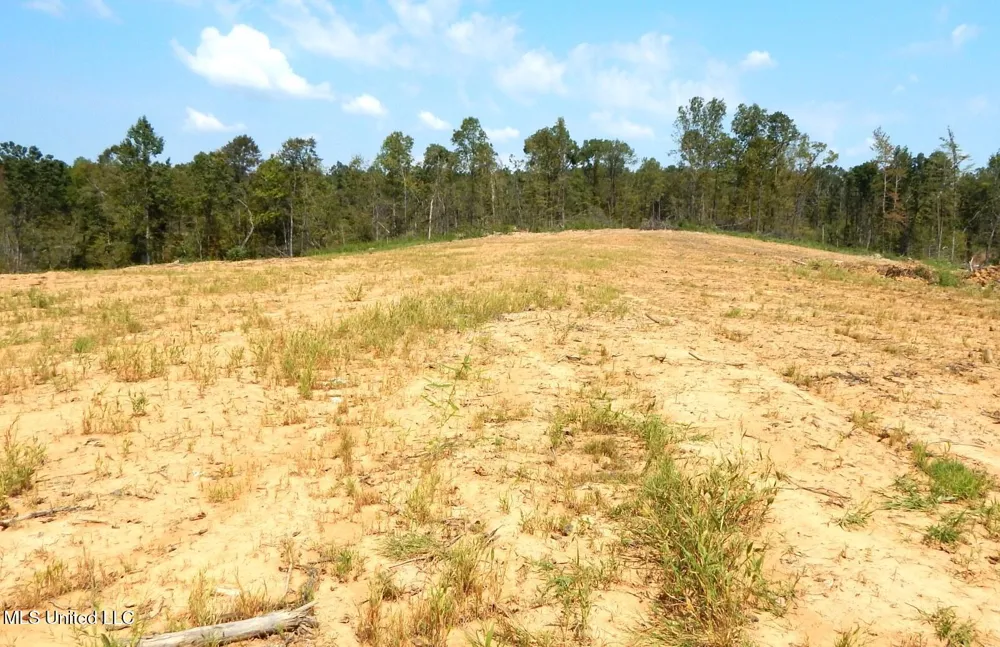2380 213 Country Road Grenada, MS 38901