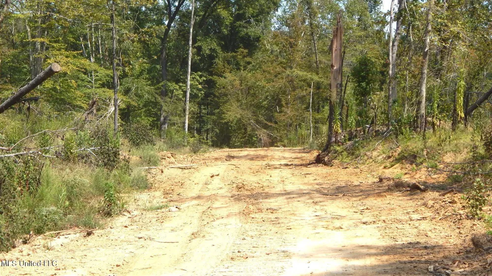 2380 213 Country Road Grenada, MS 38901