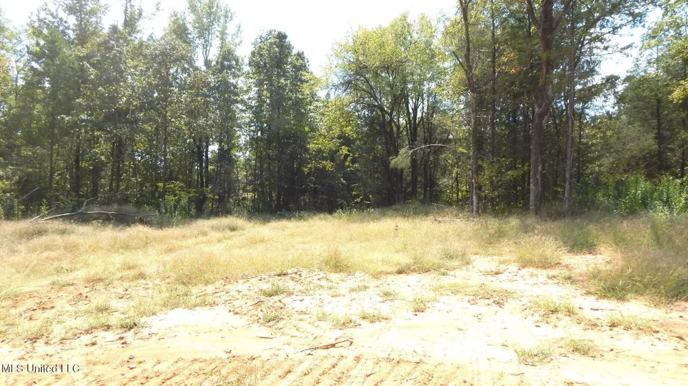 2380 213 Country Road Grenada, MS 38901
