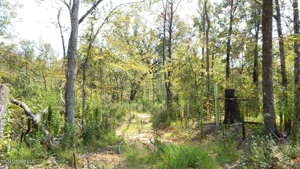 2380 213 Country Road Grenada, MS 38901
