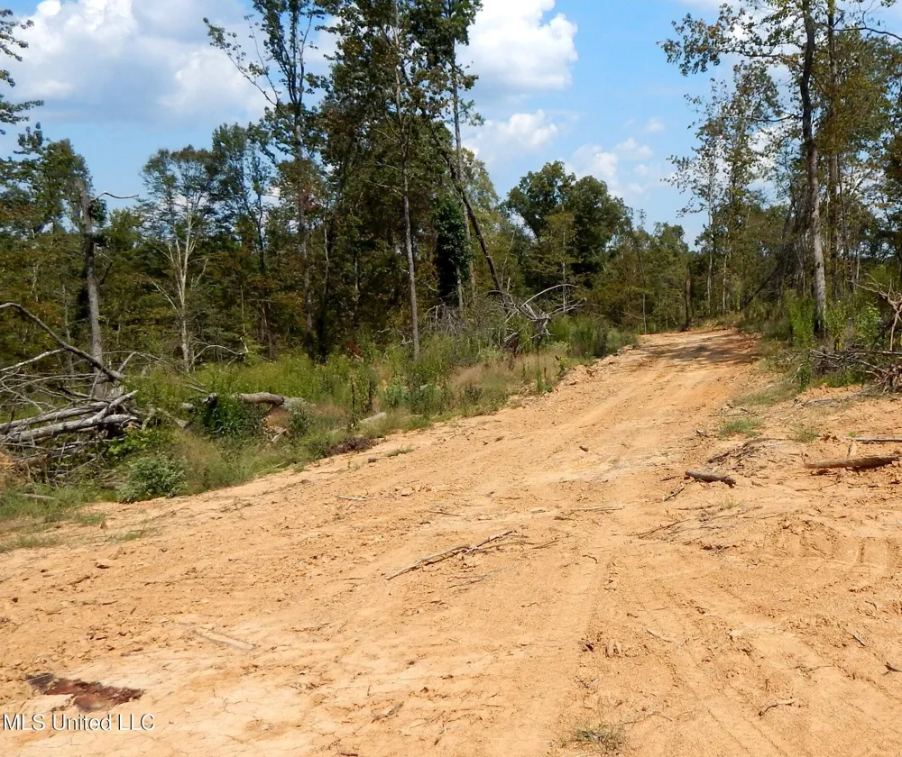 2380 213 Country Road Grenada, MS 38901