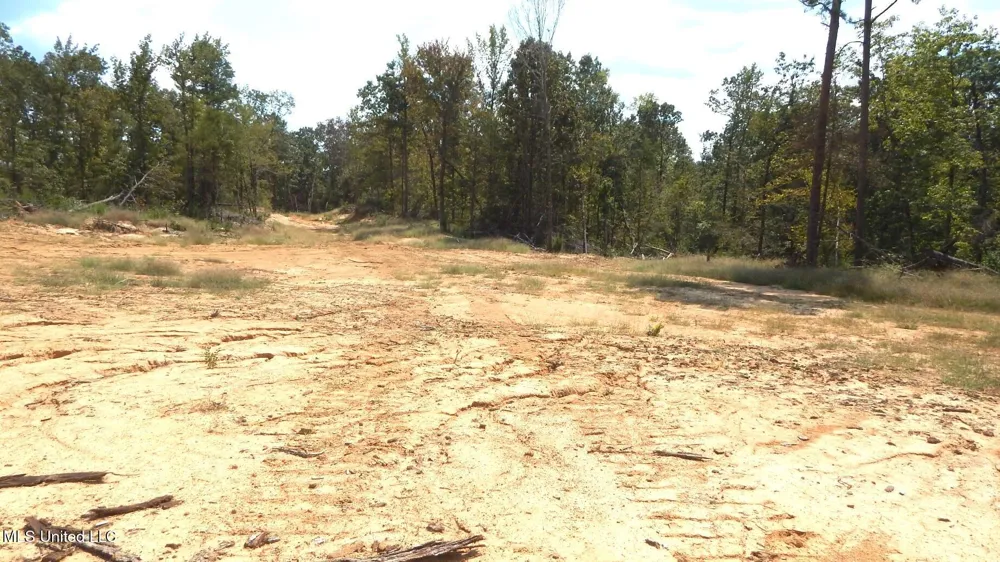 2380 213 Country Road Grenada, MS 38901