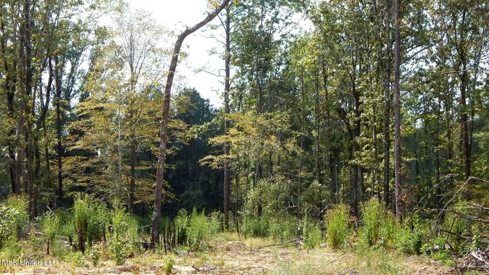 2380 213 Country Road Grenada, MS 38901