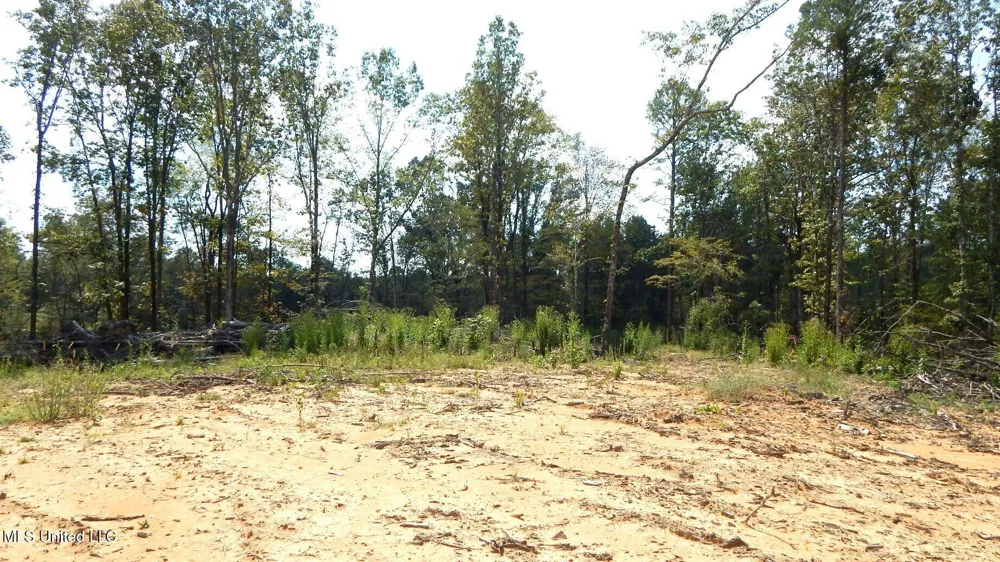 2380 213 Country Road Grenada, MS 38901
