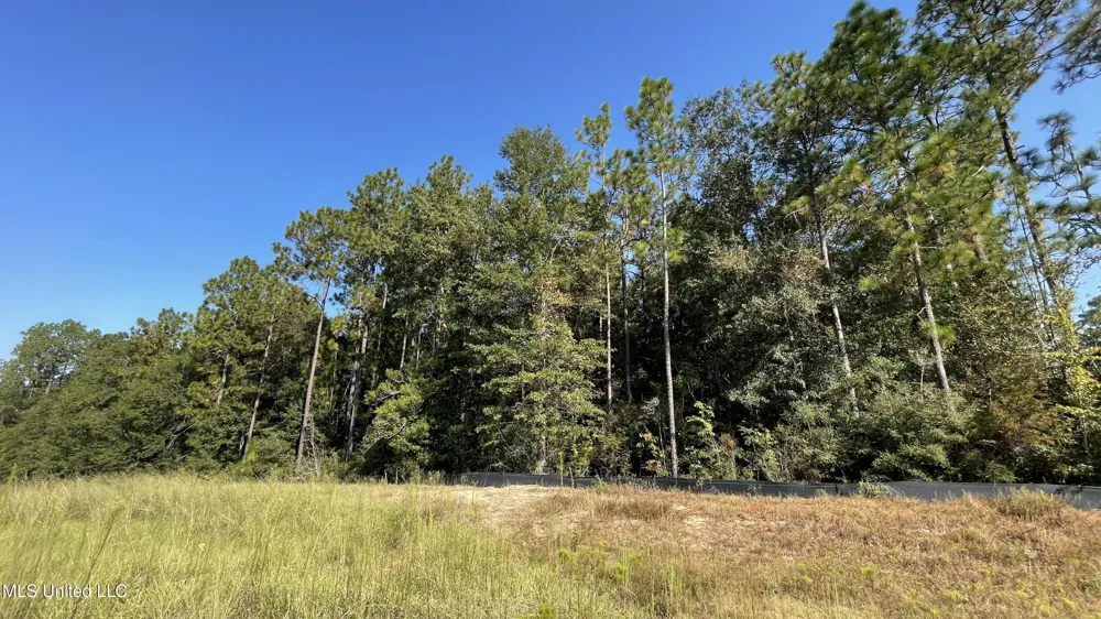 Highway 49 Wiggins, MS 39577