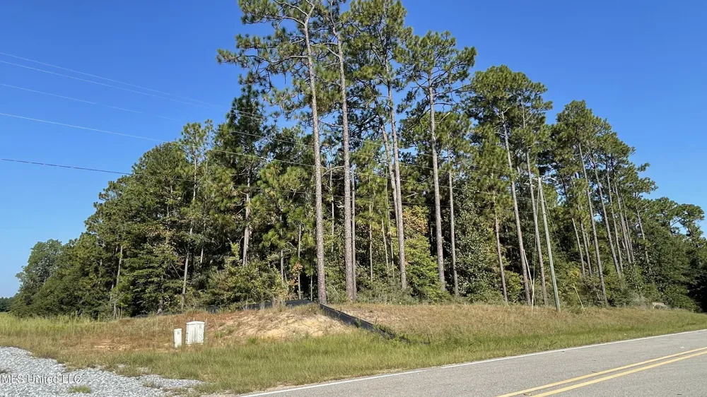 Highway 49 Wiggins, MS 39577