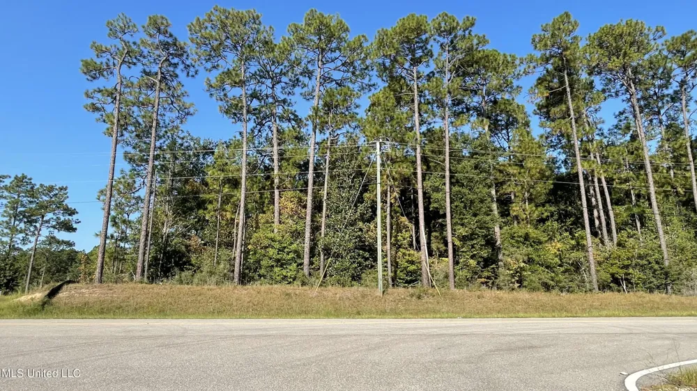 Highway 49 Wiggins, MS 39577
