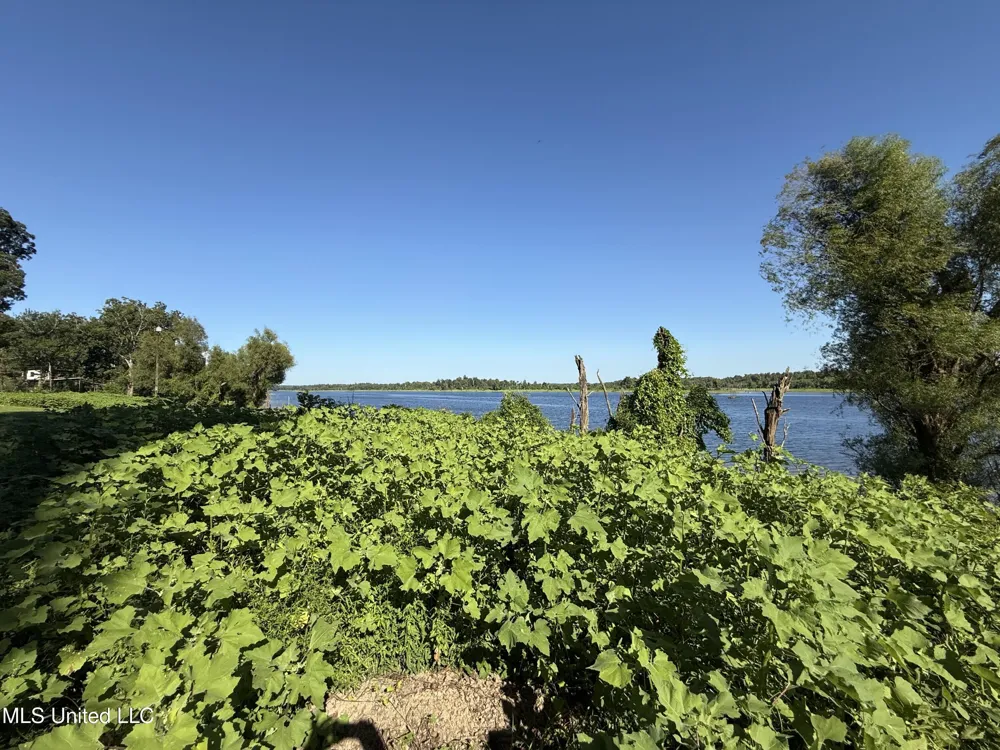 Deer Park Road Vidalia, LA 71373