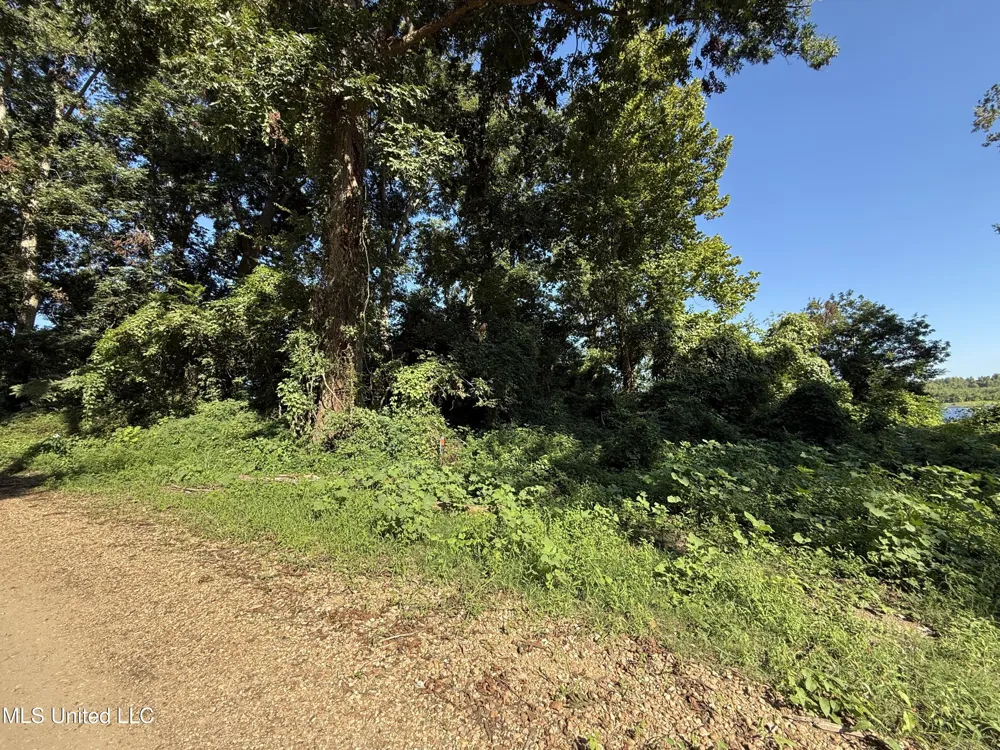 Deer Park Road Vidalia, LA 71373