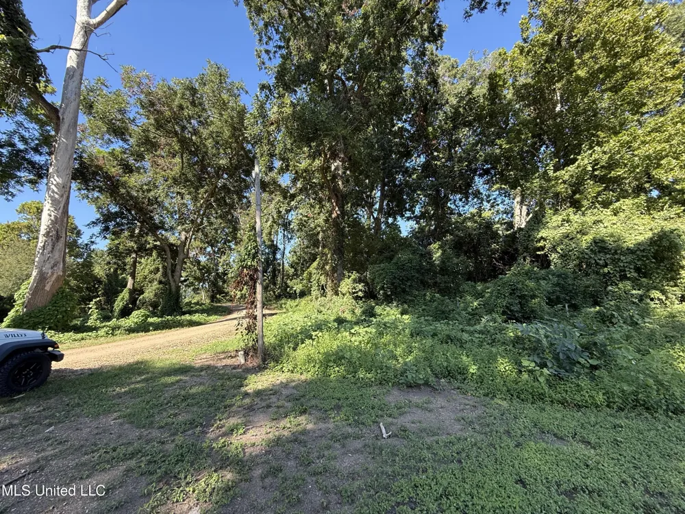 Deer Park Road Vidalia, LA 71373