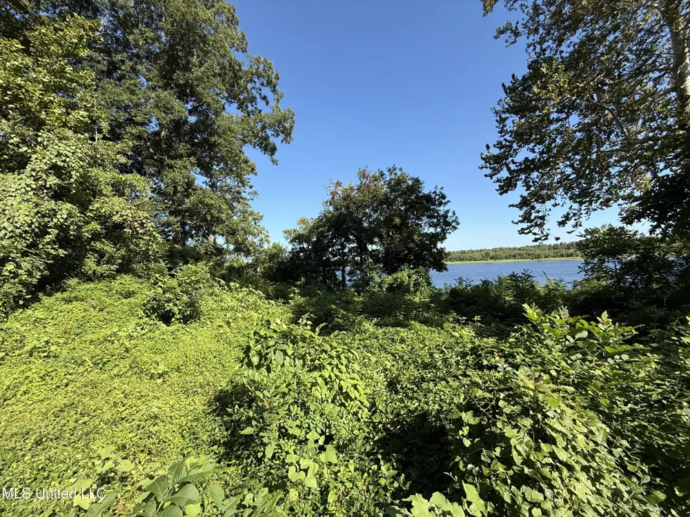 Deer Park Road Vidalia, LA 71373