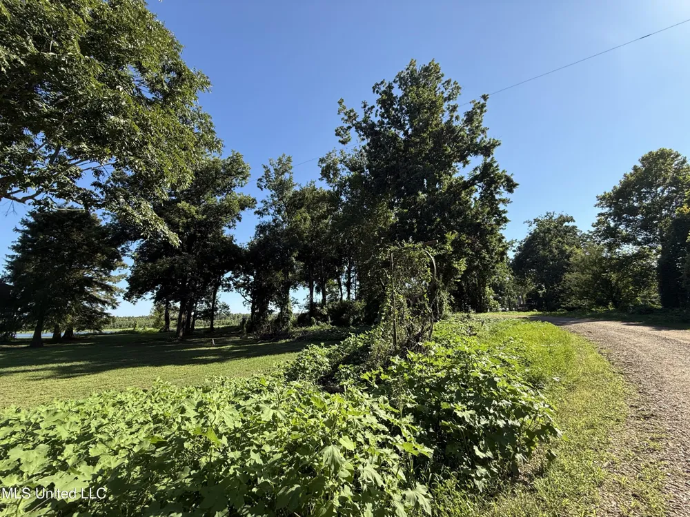 Deer Park Road Vidalia, LA 71373
