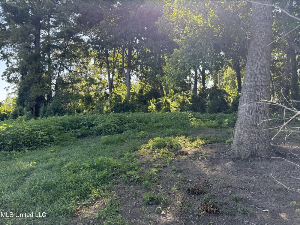 Deer Park Road Vidalia, LA 71373