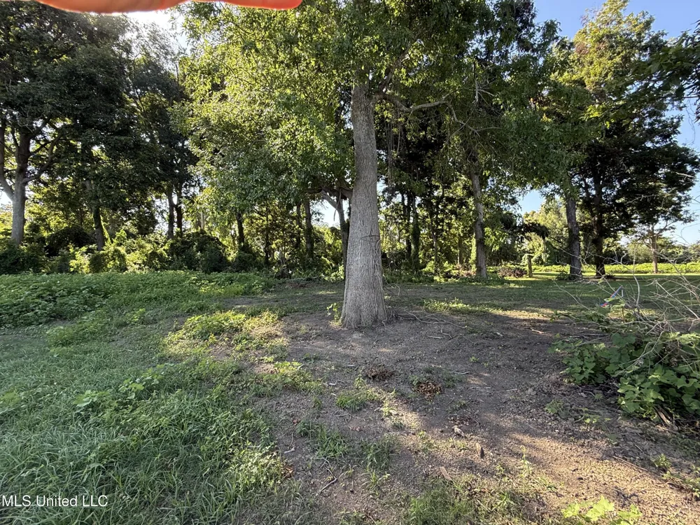 Deer Park Road Vidalia, LA 71373