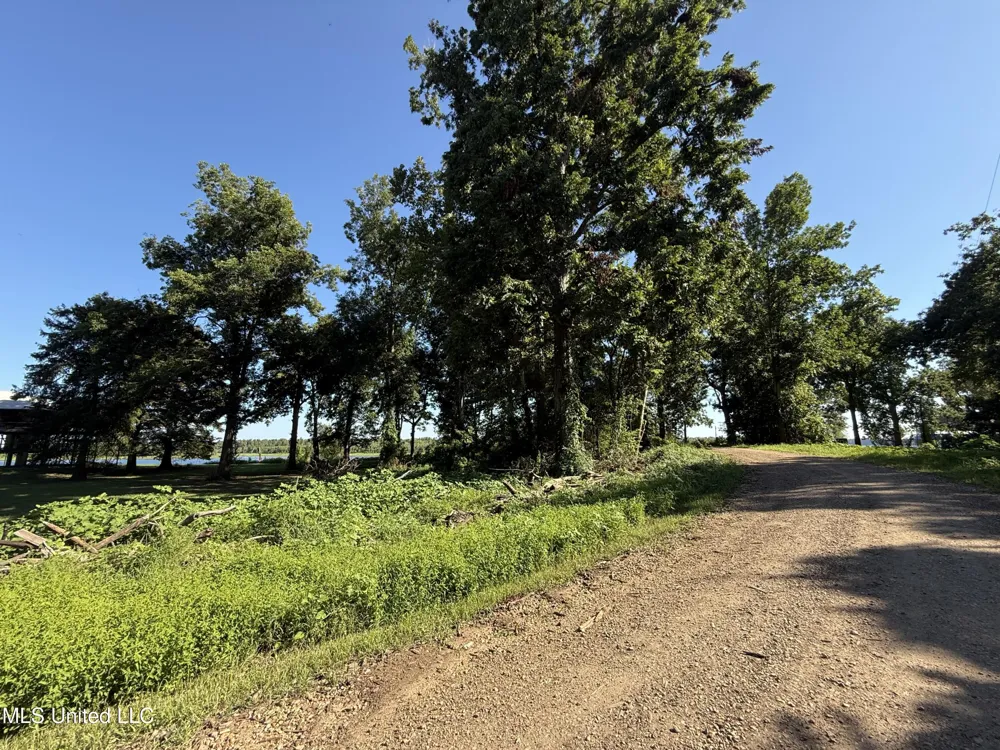 Deer Park Road Vidalia, LA 71373