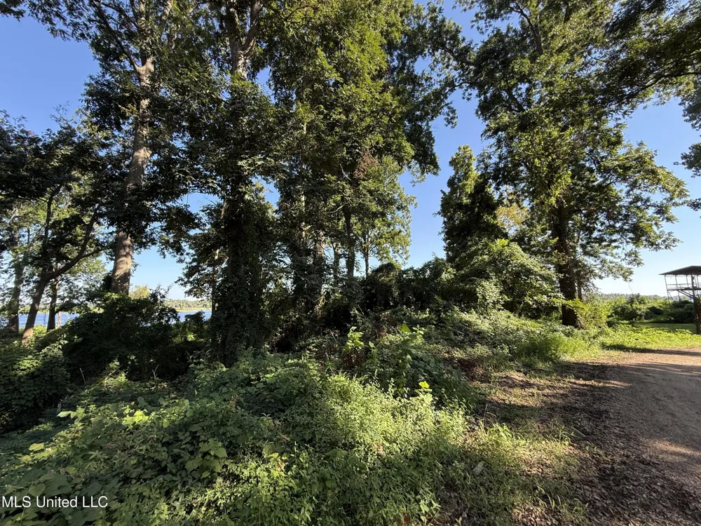 Deer Park Road Vidalia, LA 71373