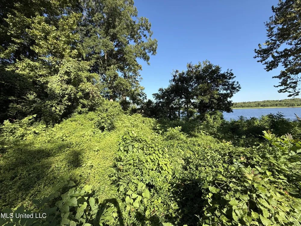 Deer Park Road Vidalia, LA 71373