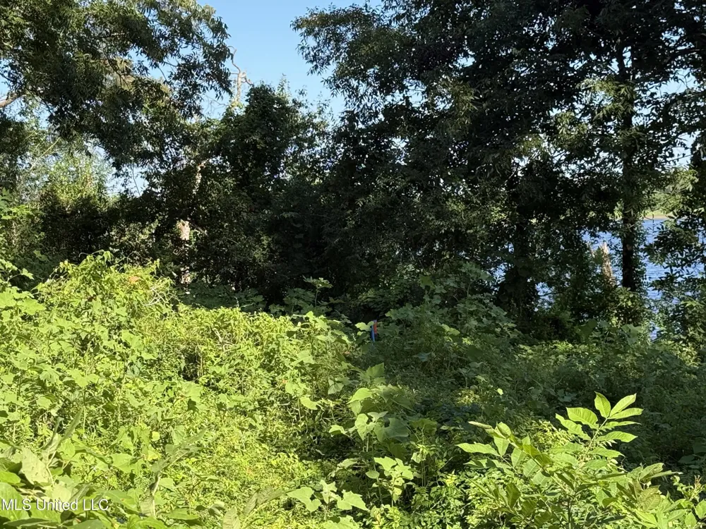 Deer Park Road Vidalia, LA 71373