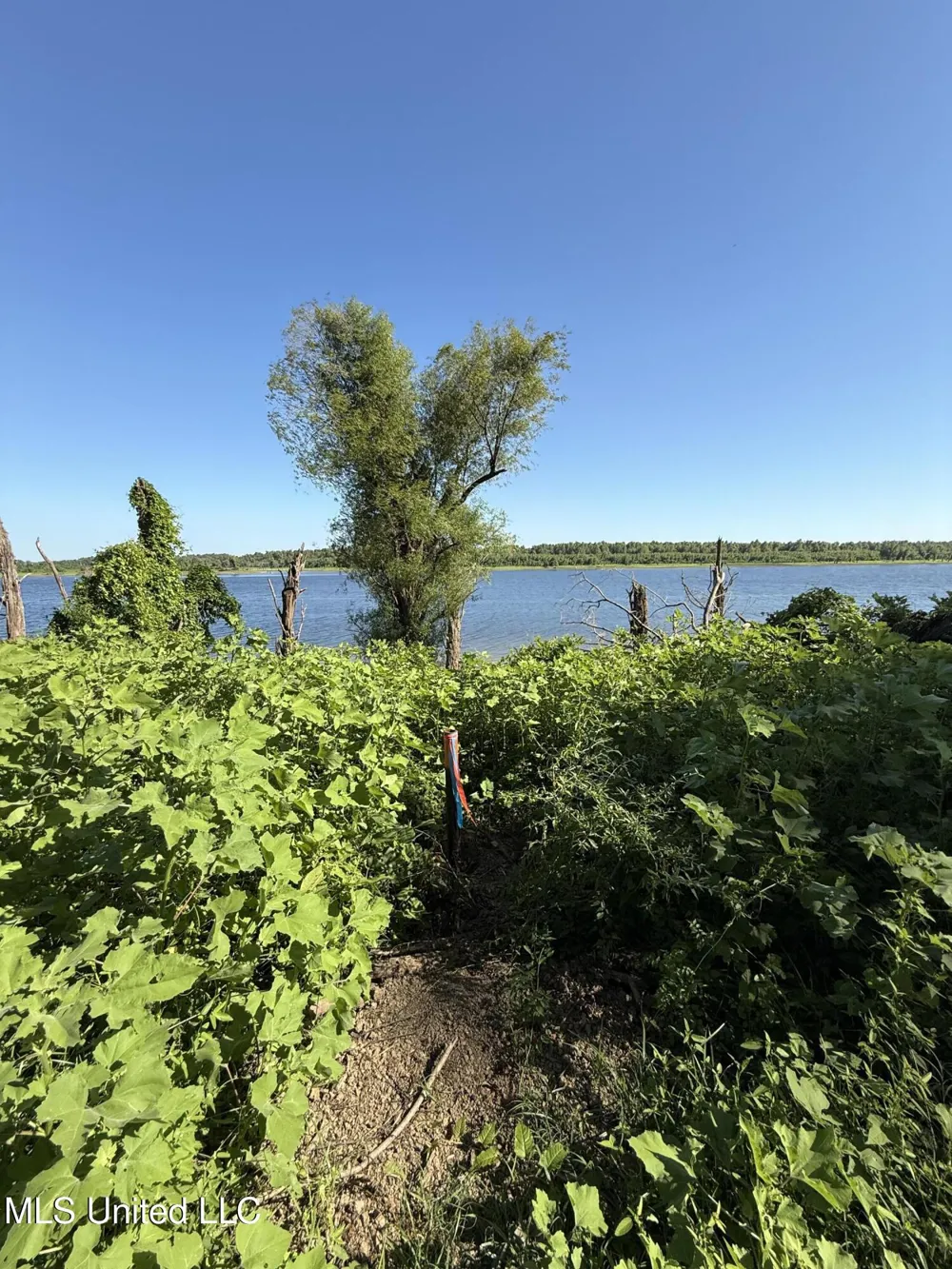 Deer Park Road Vidalia, LA 71373