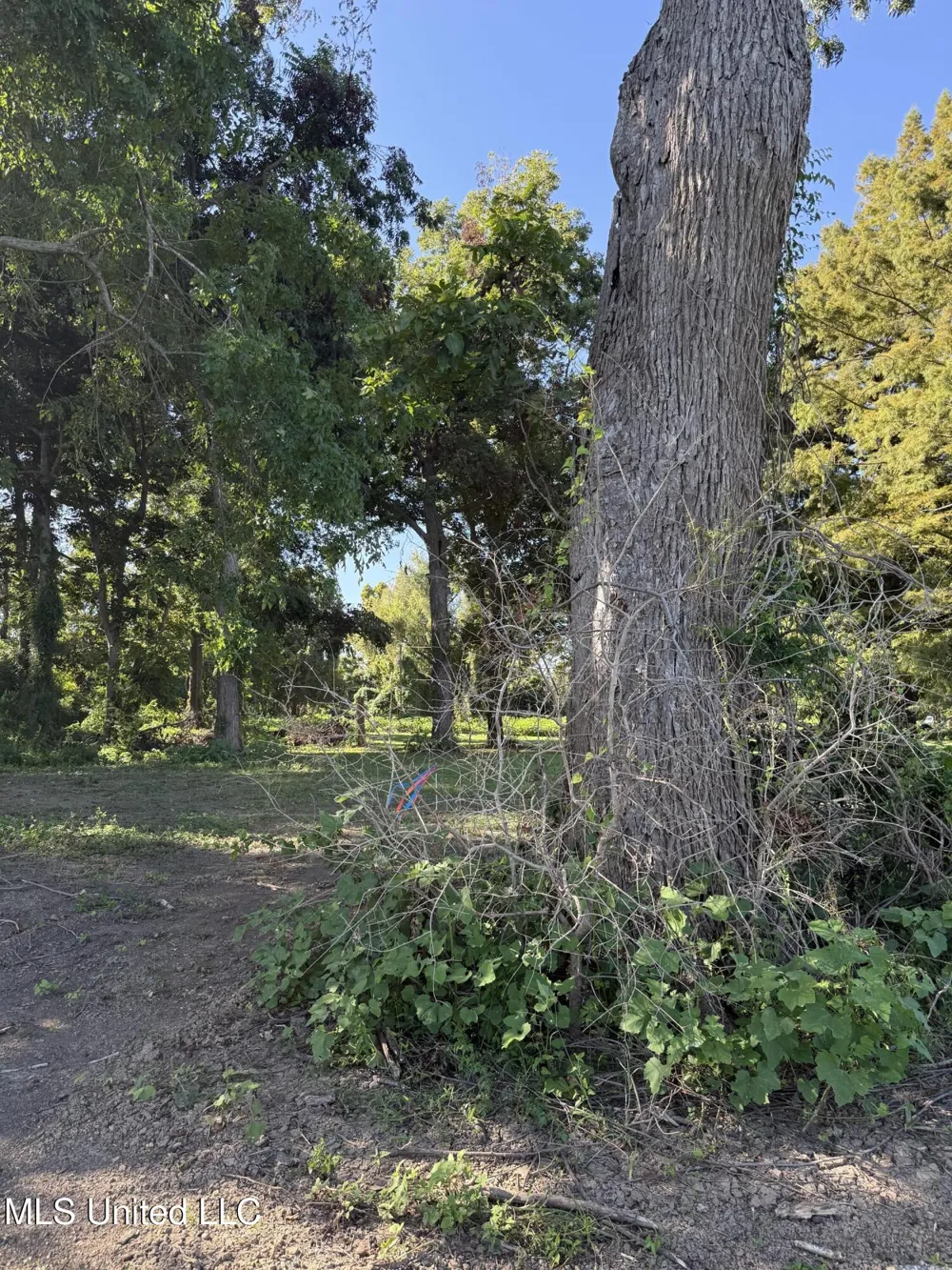 Deer Park Road Vidalia, LA 71373