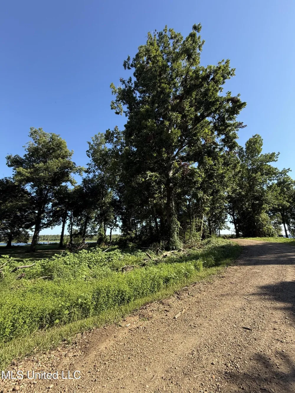 Deer Park Road Vidalia, LA 71373
