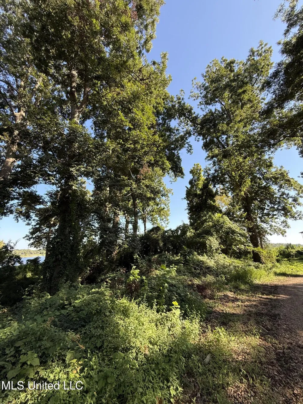 Deer Park Road Vidalia, LA 71373