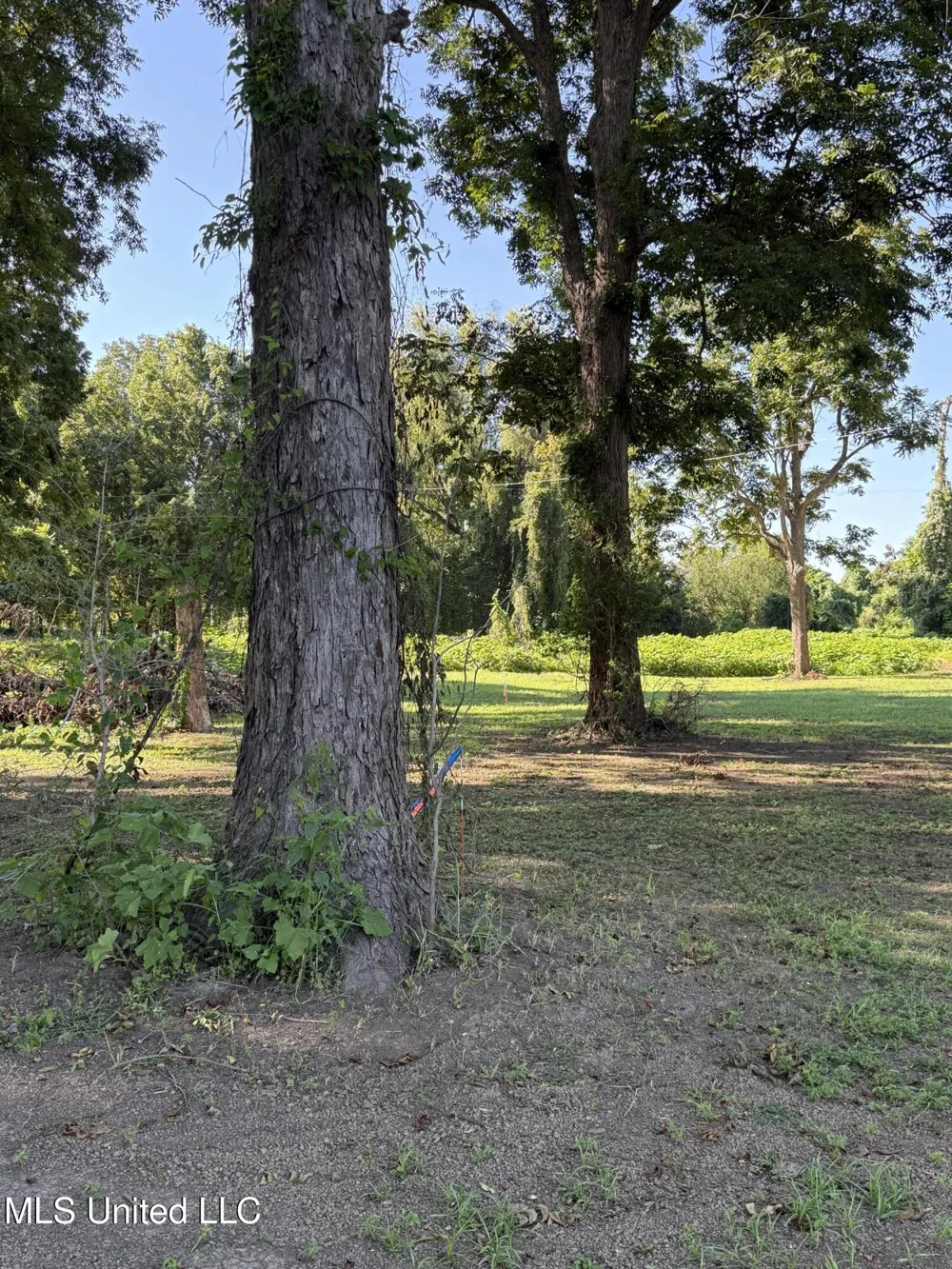 Deer Park Road Vidalia, LA 71373