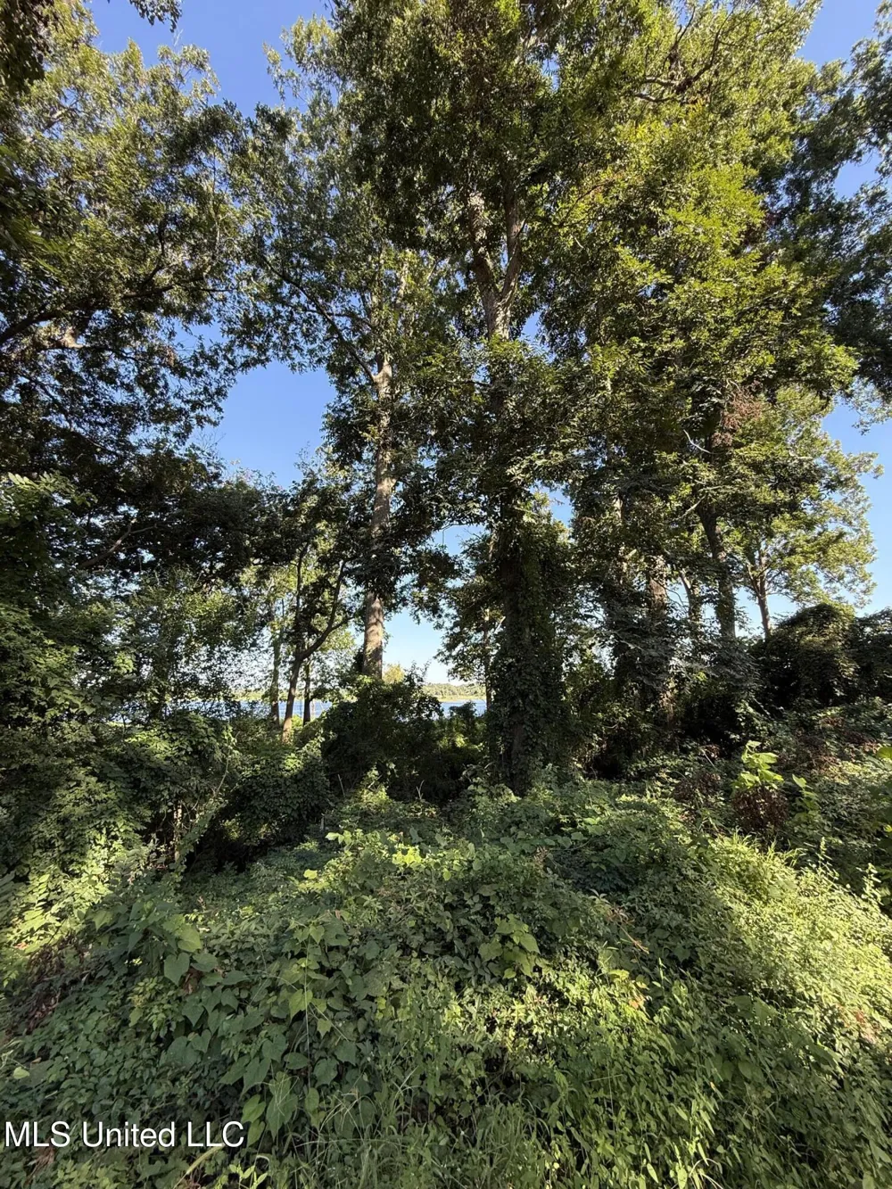 Deer Park Road Vidalia, LA 71373