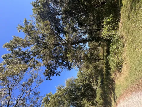 Betty Walton Road