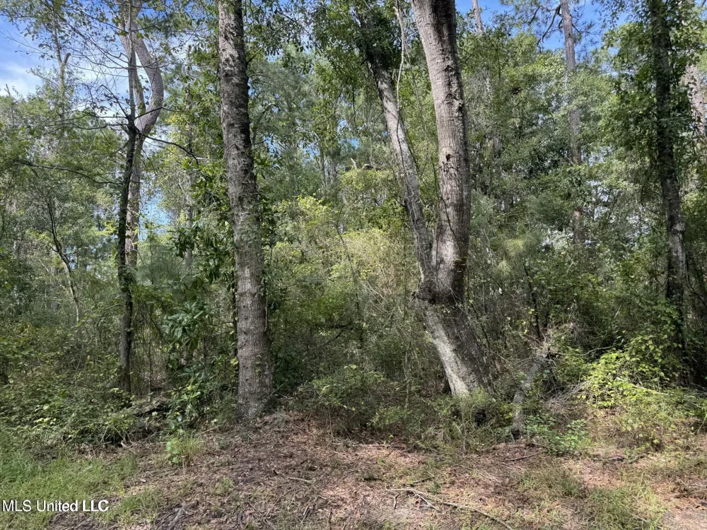 Highway 604 & 1st Avenue Pearlington, MS 39572