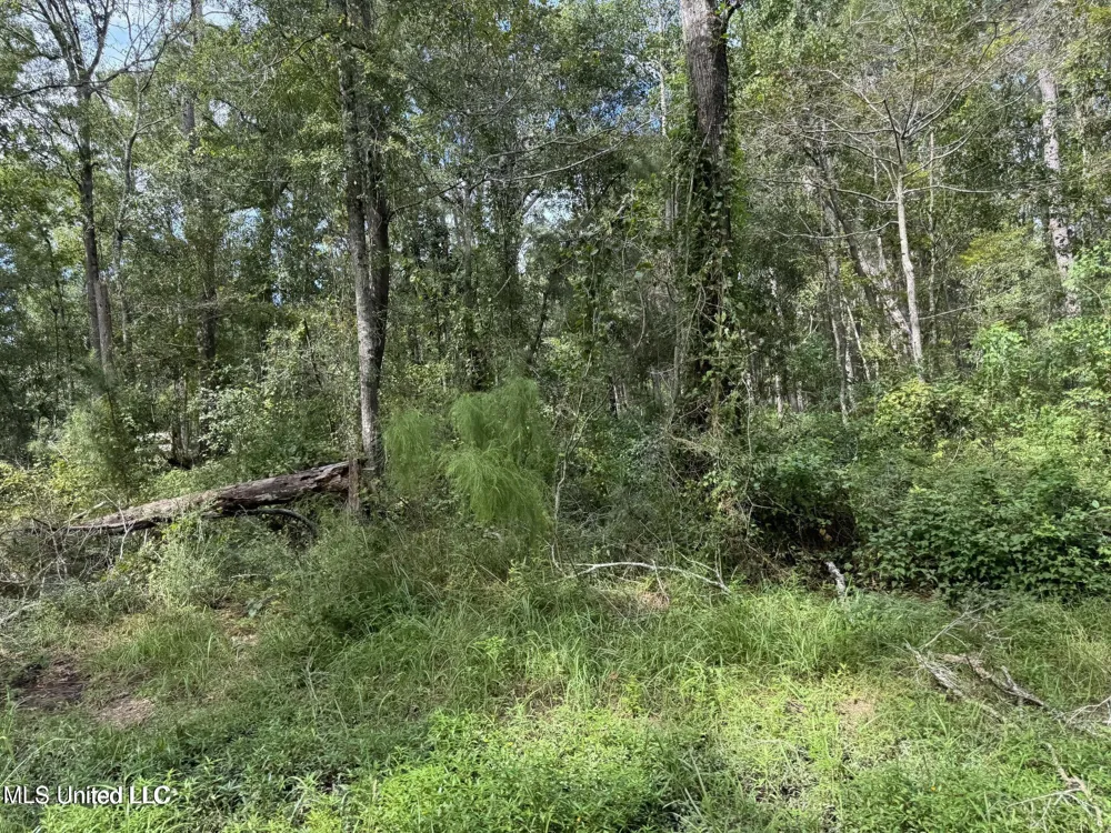 Highway 604 & 1st Avenue Pearlington, MS 39572
