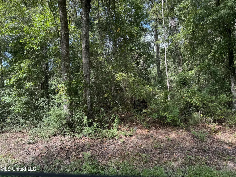 Highway 604 & 1st Avenue Pearlington, MS 39572