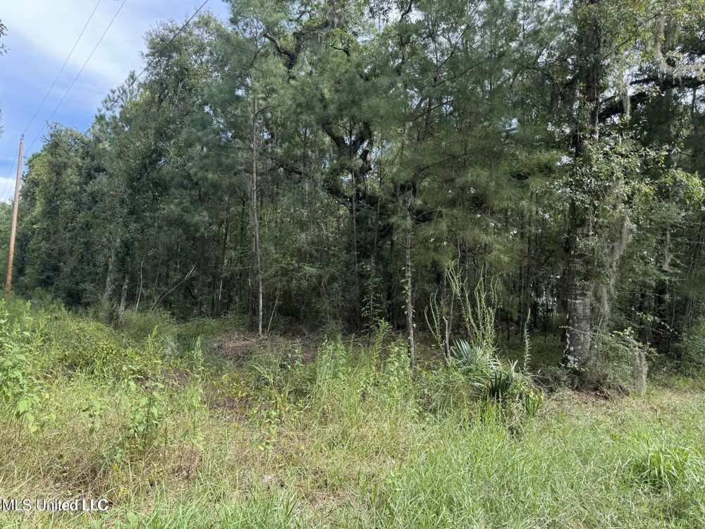 Highway 604 & 1st Avenue Pearlington, MS 39572