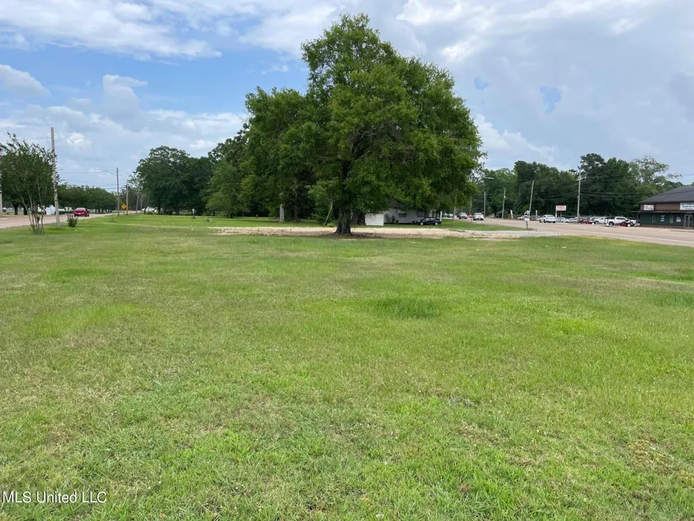 1176 E 3rd Street Forest, MS 39074