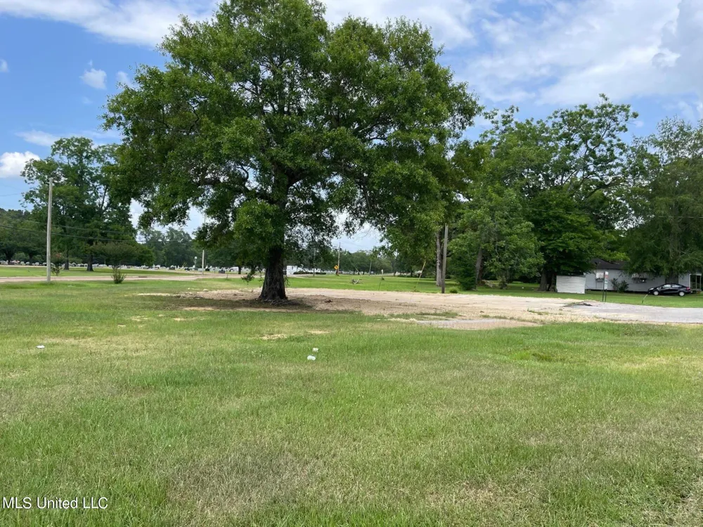 1176 E 3rd Street Forest, MS 39074