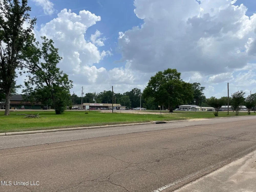 1176 E 3rd Street Forest, MS 39074