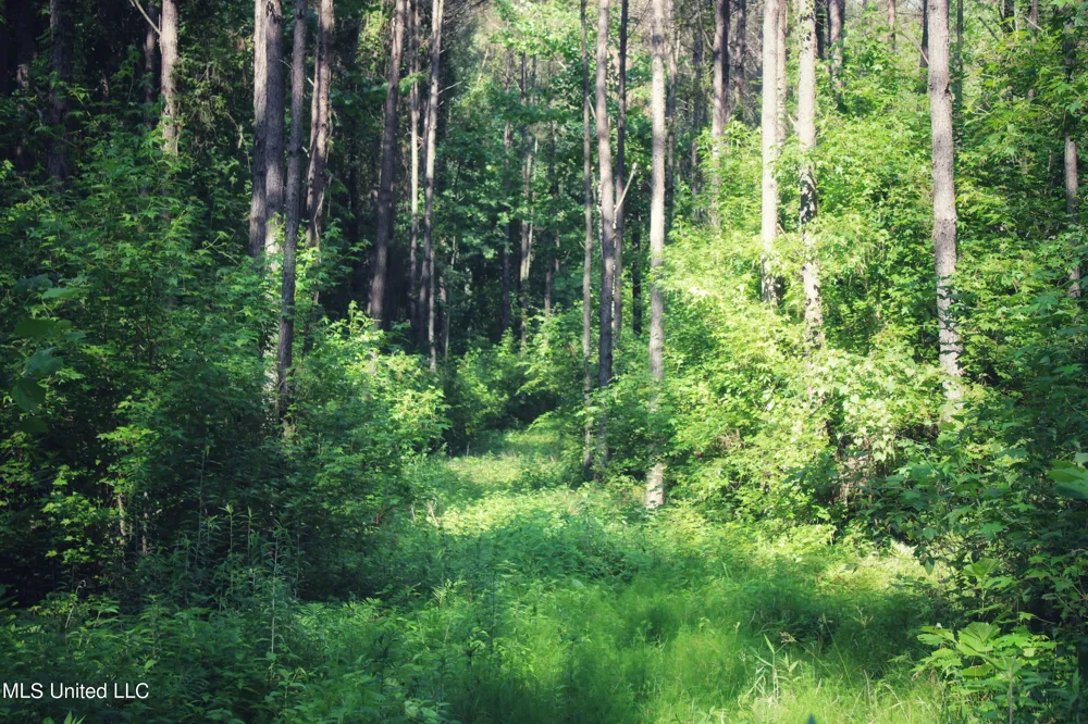 County Road 227 Coffeeville, MS 38922