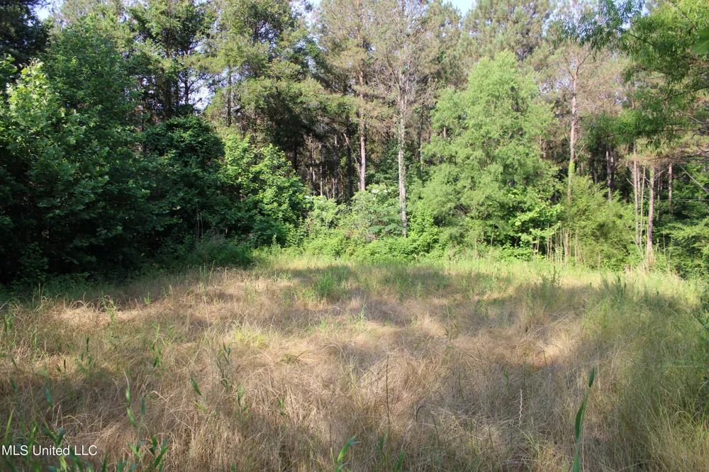 County Road 227 Coffeeville, MS 38922