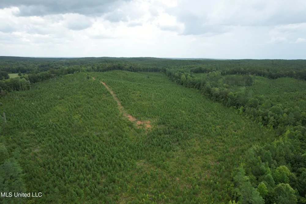 County Road 481 Paris, MS 38949