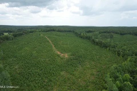County Road 481