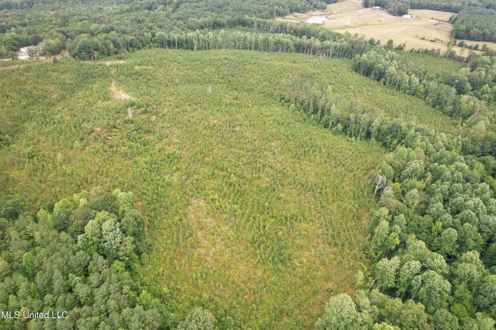 County Road 481 Paris, MS 38949