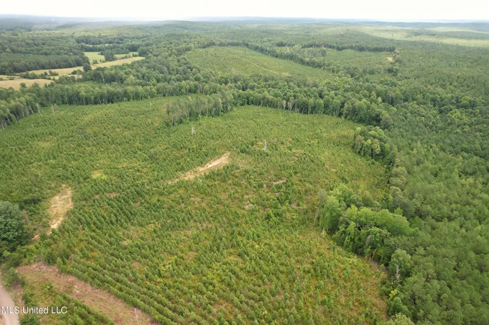 County Road 481 Paris, MS 38949