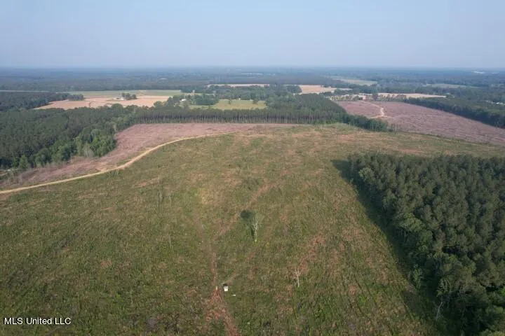 Mink Branch Road Pelahatchie, MS 39145