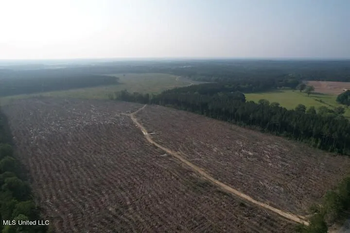 Mink Branch Road Pelahatchie, MS 39145