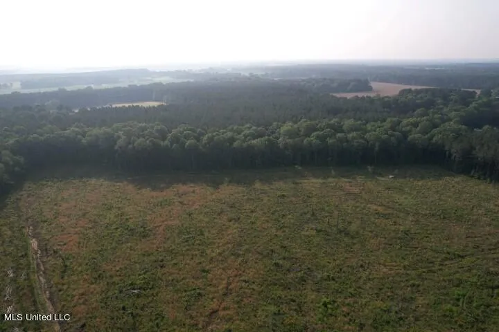 Mink Branch Road Pelahatchie, MS 39145