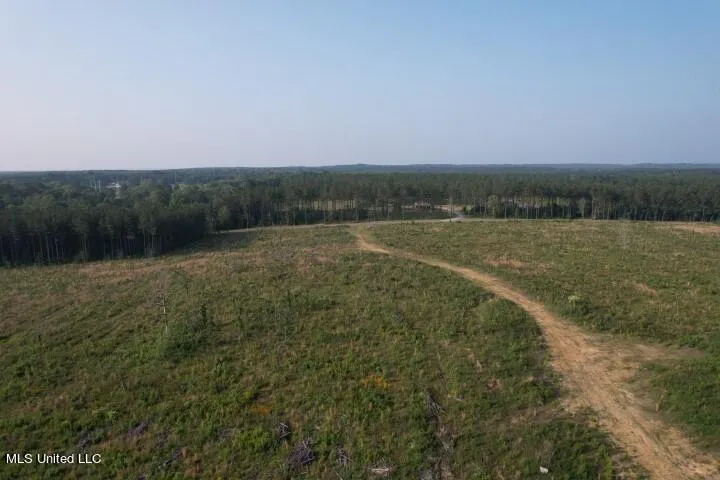Mink Branch Road Pelahatchie, MS 39145