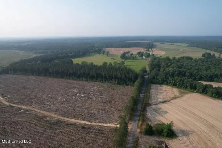 Mink Branch Road Pelahatchie, MS 39145