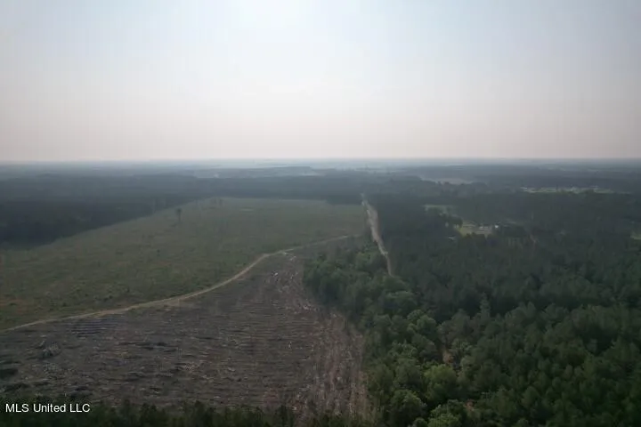 Mink Branch Road Pelahatchie, MS 39145