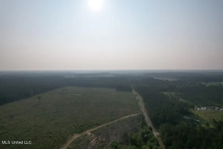 Mink Branch Road Pelahatchie, MS 39145