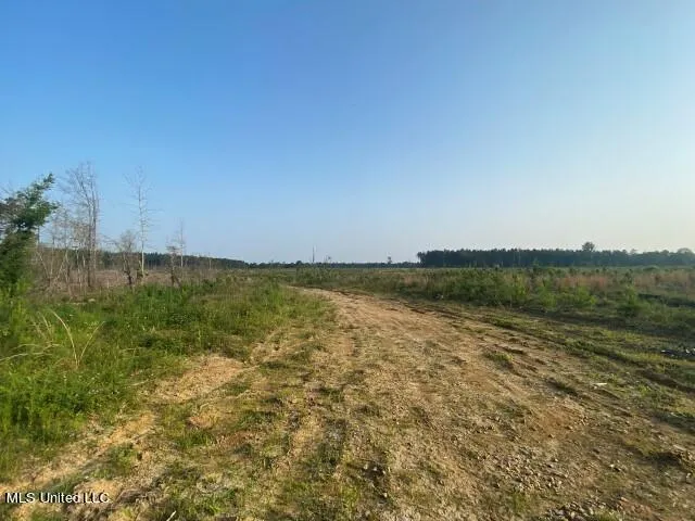 Mink Branch Road Pelahatchie, MS 39145